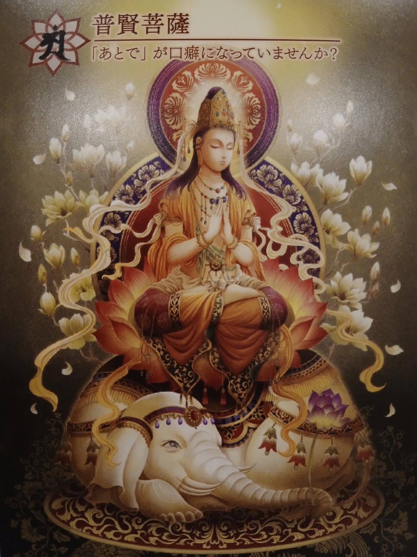 【大阪、天満、中崎町の占い】　madam 豊子、本日のカード